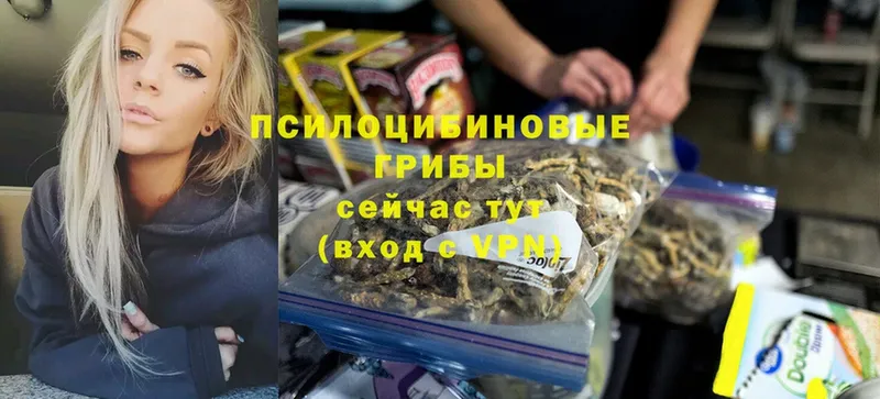 Псилоцибиновые грибы MAGIC MUSHROOMS  купить наркотик  Пушкино 